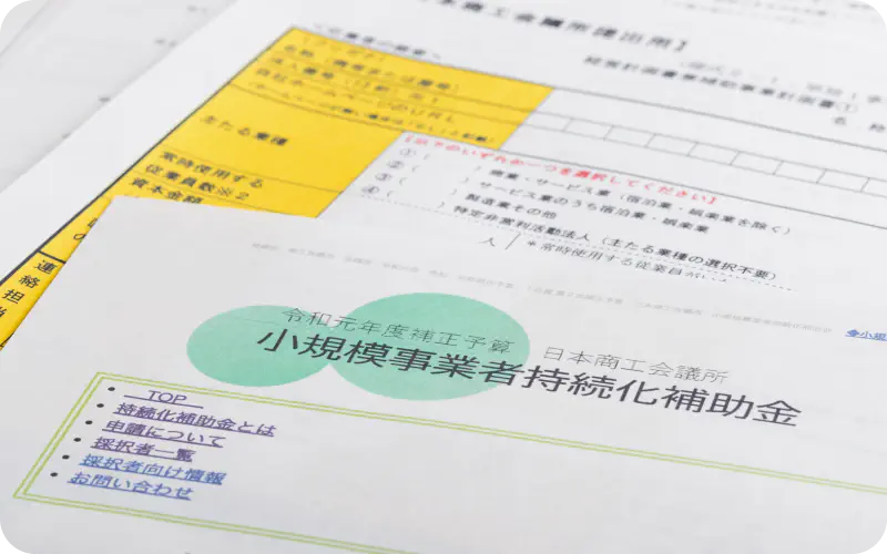 Subsidy and Grant Application Support